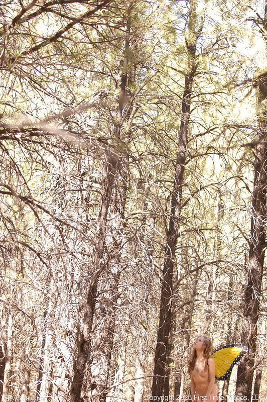 Forest Butterfl 10