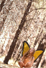 Forest Butterfl 11