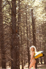 Forest Butterfl 13