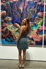 The Art Museum 2