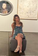 The Art Museum 5