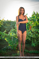Kenya Naked Grape Picker 1