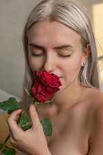 The Rose 03
