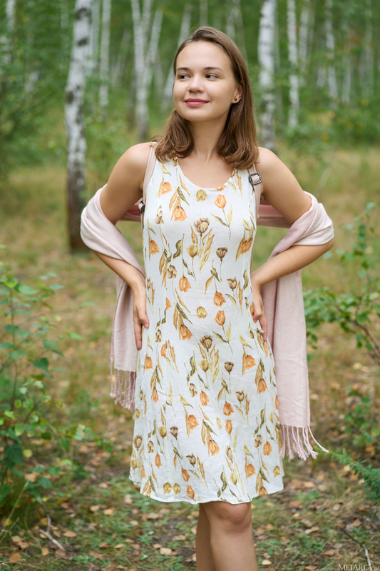 Birch Wood 3