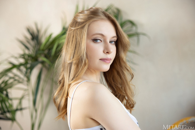 Soft and Tender 4