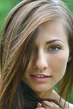 Beauty In The Forest