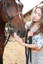 Horse Lover 9