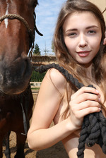 Horse Lover 11