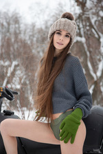 Snowmobile 2